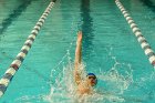 Swimming vs Bentley  Wheaton College Swimming & Diving vs Bentley College. - Photo by Keith Nordstrom : Wheaton, Swimming & Diving